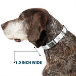 Dog Bone Seatbelt Buckle Collar - White