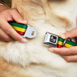 Dog Bone Seatbelt Buckle Collar - Rasta