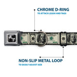 Dog Bone Seatbelt Buckle Collar - 100 Dollar Bills