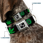 Buckle-Down Seatbelt Buckle Dog Collar - 420/Pot Leaf Black/Smoke/Green