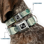 Dog Bone Seatbelt Buckle Collar - 100 Dollar Bill CLOSE-UP