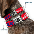 Load image into Gallery viewer, Dog Bone Seatbelt Buckle Collar - 'MERICA FUCK YEAH!/Star Red/Blue/White