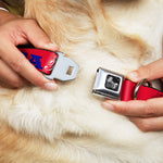 Dog Bone Seatbelt Buckle Collar - 'MERICA FUCK YEAH!/Star Red/Blue/White