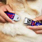 Dog Bone Seatbelt Buckle Collar - 'MERICA FUCK YEAH!/Star Blue/Red/White