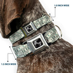 Dog Bone Seatbelt Buckle Collar - 100 Dollar Bill Old Series 2006 Repeat