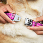 Dog Bone Seatbelt Buckle Collar - Argyle Pink/Fuchsia/Blue
