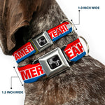 Dog Bone Seatbelt Buckle Collar - AMERICA, FUCK YEA Red/White/Blue