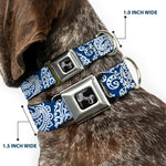 Dog Bone Seatbelt Buckle Collar - Bandana/Skulls Royal/White