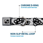 Buckle-Down Seatbelt Buckle Dog Collar - Brass Knuckles White/Gray/Black