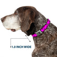 Load image into Gallery viewer, Dog Bone Seatbelt Buckle Collar - Boudoir Wallpaper Fuchsia/Black