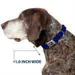 Dog Bone Seatbelt Buckle Collar - Checker Black/Neon Blue