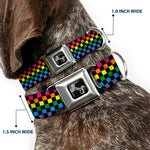 Dog Bone Seatbelt Buckle Collar - Checker Black/Neon Rainbow