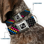 Dog Bone Seatbelt Buckle Collar - Checker Stripe Black/Gray/Blue/Gold/Pink