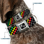 Dog Bone Seatbelt Buckle Collar - Checker Stripe Black/Gray/Rasta