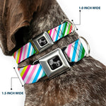 Dog Bone Seatbelt Buckle Collar - Diagonal Stripes White/Multi Color