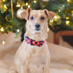 Dog Bone Seatbelt Buckle Collar - Diagonal Buffalo Plaid Black/Red