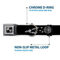 Load image into Gallery viewer, Dog Bone Black/Silver Seatbelt Buckle Collar - Dream Catcher Black/White