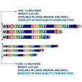 Load image into Gallery viewer, Dog Bone Black/Silver Seatbelt Buckle Collar - EQUALITY Blocks Rainbow/Blue/White