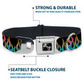 Load image into Gallery viewer, Dog Bone Seatbelt Buckle Collar - Flames Black/Blue/Pink