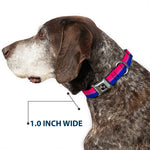 Dog Bone Seatbelt Buckle Collar - Flag Bisexual Pink/Purple/Blue