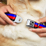 Dog Bone Seatbelt Buckle Collar - Flag Polyamorous Pi Symbol Blue/Red/Black/Yellow