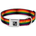 Load image into Gallery viewer, Dog Bone Seatbelt Buckle Collar - Flag Pride Distressed Rainbow