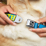 Dog Bone Seatbelt Buckle Collar - HATERS GONNA HATE Turquoise/Yellow