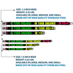 Dog Bone Black/Silver Seatbelt Buckle Collar - IN YOUR DREAMS! Black/Pink/Green/Yellow