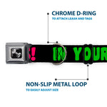 Dog Bone Black/Silver Seatbelt Buckle Collar - IN YOUR DREAMS! Black/Pink/Green/Yellow
