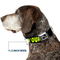 Load image into Gallery viewer, Dog Bone Black/Silver Seatbelt Buckle Collar - IN YOUR DREAMS! Black/Pink/Green/Yellow