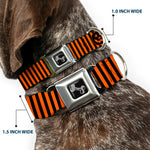 Dog Bone Black/Silver Seatbelt Buckle Collar - Jack-o'-Lantern Pumpkin Stripe Orange/Black