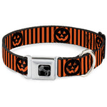 Dog Bone Black/Silver Seatbelt Buckle Collar - Jack-o'-Lantern Pumpkin Stripe Orange/Black