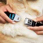 Dog Bone Seatbelt Buckle Collar - LET'S GET WEIRD Weathered Black/Bright Blue