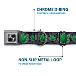 Buckle-Down Seatbelt Buckle Dog Collar - Marijuana Haze Black