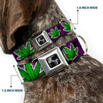 Buckle-Down Seatbelt Buckle Dog Collar - Marijuana Haze Purple