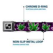 Buckle-Down Seatbelt Buckle Dog Collar - Marijuana Haze Purple