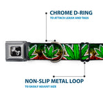 Buckle-Down Seatbelt Buckle Dog Collar - Marijuana Haze Rasta/White