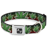 Buckle-Down Seatbelt Buckle Dog Collar - Marijuana Haze Rasta/White