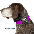 Load image into Gallery viewer, Dog Bone Seatbelt Buckle Collar - Neon Purple