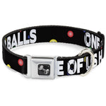 Buckle-Down Seatbelt Buckle Dog Collar - ONE OF US HAS NO BALLS/Balls Black/Multi Color/White