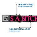 Load image into Gallery viewer, Buckle-Down Seatbelt Buckle Dog Collar - ONE OF US IS A BITCH Crown/Paws Black/Gray/Pink