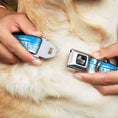 Load image into Gallery viewer, Dog Bone Seatbelt Buckle Collar - ORANGE COUNTY/Pier Scene Blue/White