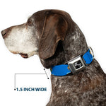 Dog Bone Black/Silver Seatbelt Buckle Collar - Oklahoma State Flag Sky Blue/White