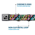 Load image into Gallery viewer, Dog Bone Seatbelt Buckle Collar - Peace Black/Multi Stripes