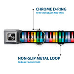 Dog Bone Seatbelt Buckle Collar - Piano Keys Rainbow