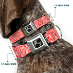 Dog Bone Seatbelt Buckle Collar - Peppermint Candies