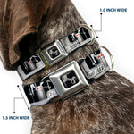 Dog Bone Seatbelt Buckle Collar - Rabid Bunny