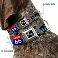 Load image into Gallery viewer, Dog Bone Seatbelt Buckle Collar - Route 66 Classics Gray