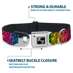 Dog Bone Seatbelt Buckle Collar - Zebra Rainbow Ombre