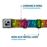 Dog Bone Seatbelt Buckle Collar - Zebra Rainbow Ombre